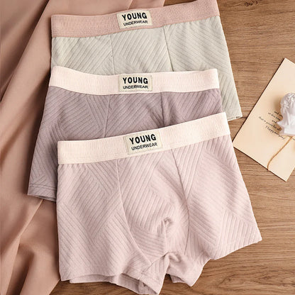 3 Antibacterial Cotton Men's Boxers