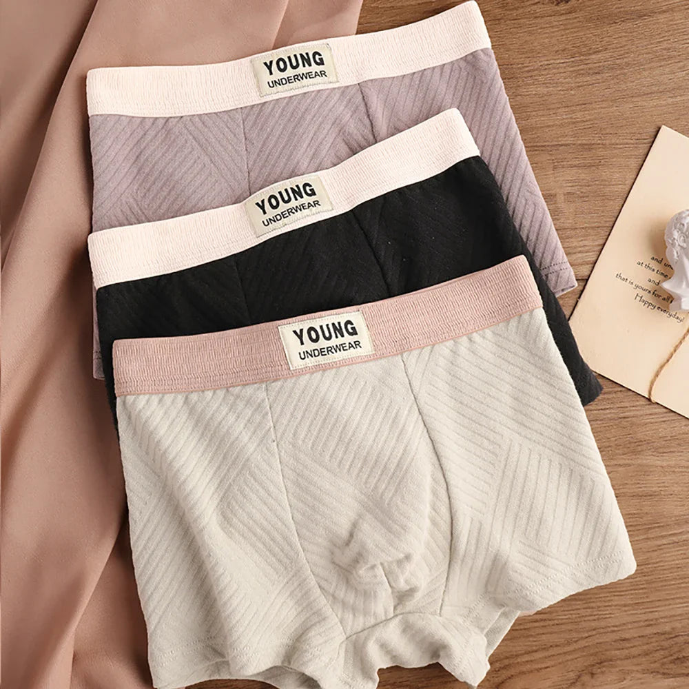 3 Antibacterial Cotton Men's Boxers