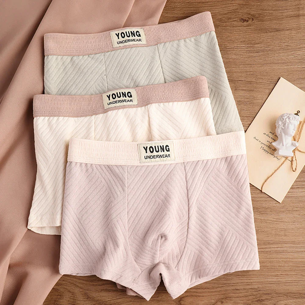 3 Antibacterial Cotton Men's Boxers
