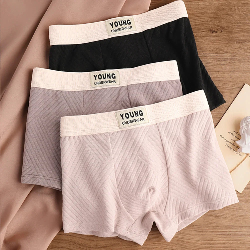 3 Antibacterial Cotton Men's Boxers