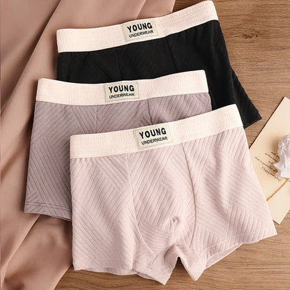3 Antibacterial Cotton Men's Boxers