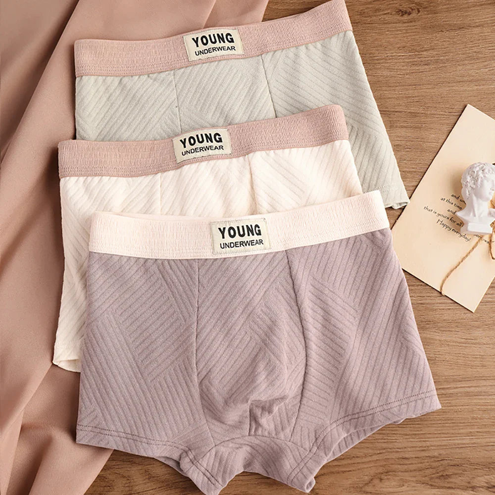 3 Antibacterial Cotton Men's Boxers